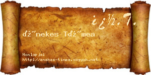 Énekes Tímea névjegykártya